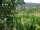 Webcam in Feuerbach, 16 km