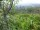 Webcam in Feuerbach, 4.8 mi away