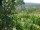 Webcam in Feuerbach, 7.5 mi away