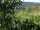 Webcam in Feuerbach, 3 mi away