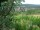 Webcam in Feuerbach, 8.5 mi away