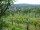 Webcam in Feuerbach, 4.2 mi away