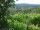Webcam in Feuerbach, 1.9 mi away