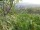 Webcam in Feuerbach, 12.4 mi away