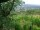 Webcam in Feuerbach, 7.5 mi away