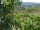 Webcam in Feuerbach, 24.8 km