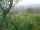 Webcam in Feuerbach, 6.6 mi away