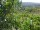 Webcam in Feuerbach, 2.8 km