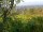 Webcam in Feuerbach, 4 mi away