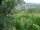 Webcam in Feuerbach, 4.3 mi away