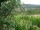 Webcam in Feuerbach, 7.5 mi away