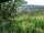 Webcam in Feuerbach, 3.7 mi away