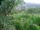 Webcam in Feuerbach, 11.2 km