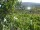 Webcam in Feuerbach, 4.4 mi away