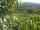 Webcam in Feuerbach, 5.6 mi away