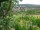 Webcam in Feuerbach, 7.7 km