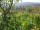 Webcam in Feuerbach, 9.6 mi away