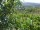 Webcam in Feuerbach, 10.9 km