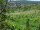 Webcam in Feuerbach, 18.6 km entfernt