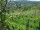 Webcam in Feuerbach, 3.7 mi away