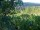 Webcam in Feuerbach, 3 km