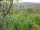 Webcam in Feuerbach, 37.3 km
