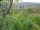 Webcam in Feuerbach, 7.7 km entfernt