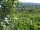 Webcam in Feuerbach, 3.9 km