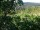 Webcam in Feuerbach, 7.7 km