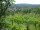 Webcam in Feuerbach, 6 km