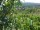 Webcam in Feuerbach, 14.7 km