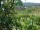 Webcam in Feuerbach, 17.2 km