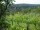 Webcam in Feuerbach, 9.9 km
