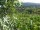 Webcam in Feuerbach, 14.4 km
