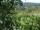 Webcam in Feuerbach, 16 km