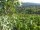 Webcam in Feuerbach, 2.3 mi away