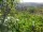 Webcam in Feuerbach, 3.6 mi away