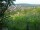 Webcam in Feuerbach, 11.6 km