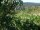 Webcam in Feuerbach, 17 km