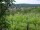 Webcam in Feuerbach, 17 km