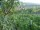 Webcam in Feuerbach, 11.6 km