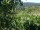 Webcam in Feuerbach, 6 km