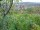 Webcam in Feuerbach, 23.6 km
