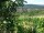 Webcam in Feuerbach, 14.7 km entfernt