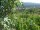 Webcam in Feuerbach, 7.1 mi away