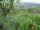 Webcam in Feuerbach, 22 km