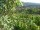 Webcam in Feuerbach, 22 km
