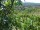 Webcam in Feuerbach, 9.1 mi away