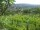 Webcam in Feuerbach, 8.2 km
