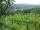 Webcam in Feuerbach, 11.4 km